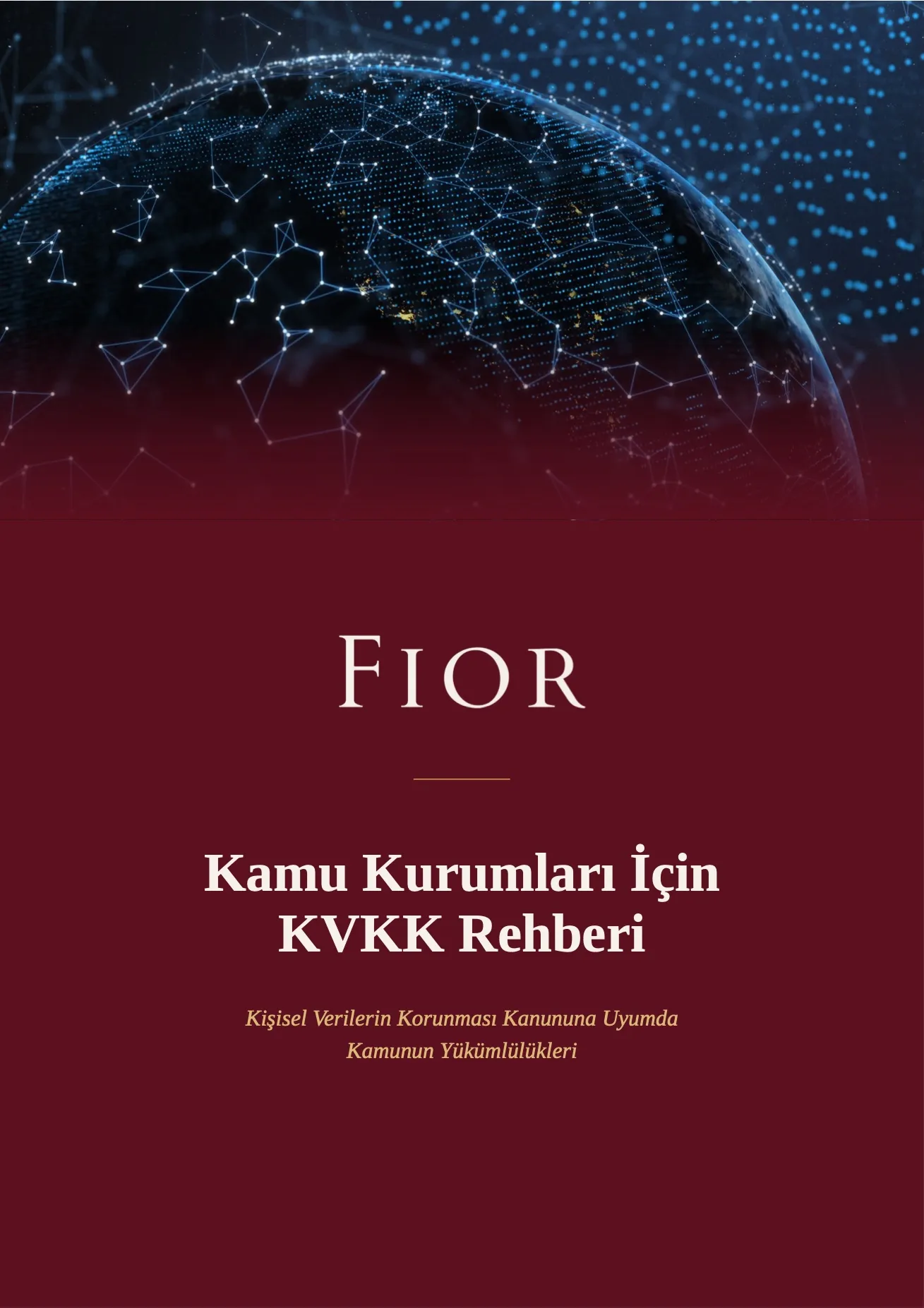 A KVKK Guide for Public Institutions image 1