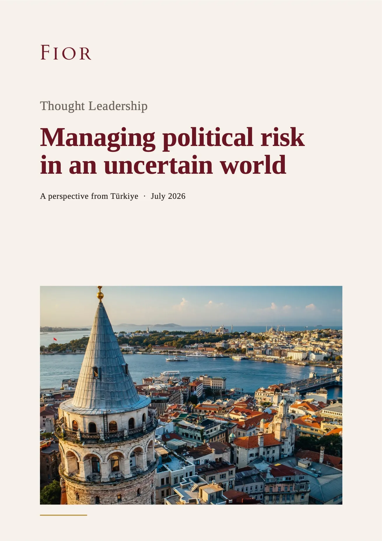 Managing Political Risk in an Uncertain World image 1